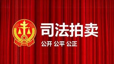最高人民法院關于人民法院網(wǎng)絡司法拍賣若干問題的規(guī)定（山東）