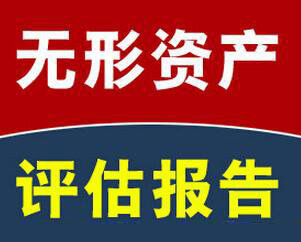明信價(jià)格評(píng)估公司的無形資產(chǎn)評(píng)估服務(wù)項(xiàng)目有哪些？